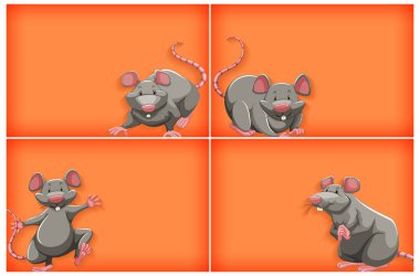 Düz renk ve gri fare resimli arkaplan şablonu