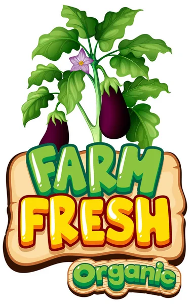Návrh Písma Pro Word Fresh Farm Fresh Eggplants Illustration — Stockový vektor