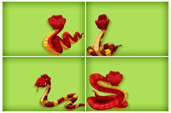 Modèle Fond Avec Couleur Unie Illustration Serpent Rouge — Image vectorielle