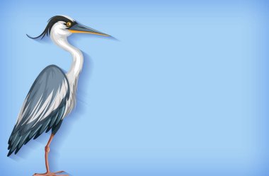 Düz renk ve balıkçıl resimli arkaplan şablonu