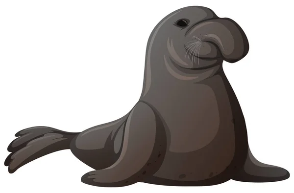 Gray Seal White Background Illustration — Stock Vector