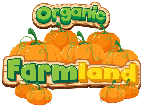 Font Design Organic Farmland Many Pumpkins Illustration — Stock Vector