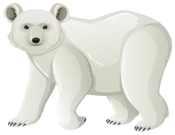 Urso Polar Sobre Ilustração Fundo Branco — Vetor de Stock