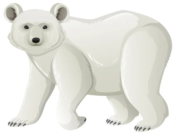 Jeden Niedźwiedź Polarny Stojący Białym Tle Ilustracji — Wektor stockowy