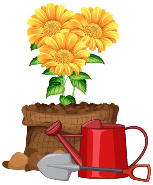 Bahçedeki güzel çiçekler beyaz arkaplan resimlerinde