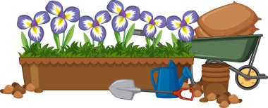 Bahçedeki güzel iris çiçekleri beyaz arkaplan resimlerinde