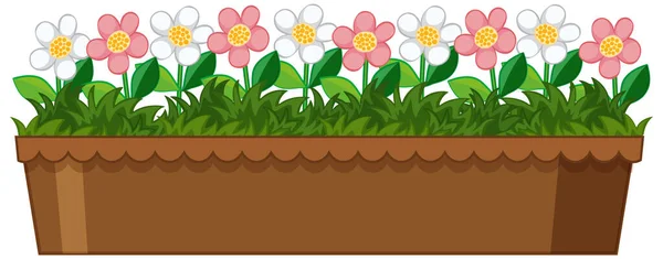 Mooie Bloemen Tuin Witte Achtergrond Illustratie — Stockvector