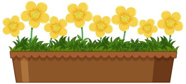 Beyaz arkaplanda saksıda güzel çiçekler