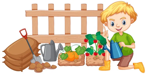Boy Watering Vegetables Garden White Background Illustration — Stock Vector