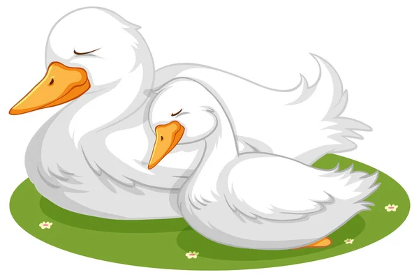 Niedliche Ente Schläft Auf Gras Illustration — Stockvektor
