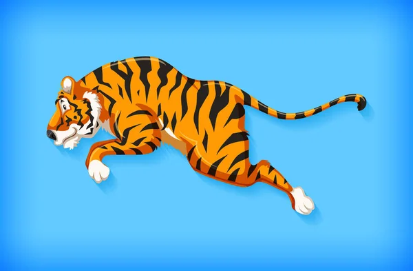 Дизайн Фона Простым Цветом Иллюстрацией Прыжков Тигра — стоковый вектор