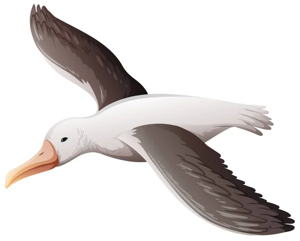 Seagull Flying White Background Illustration — Stock Vector