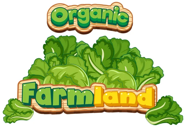Font Design Word Organic Fresh Cabbages Illustration — Stock Vector
