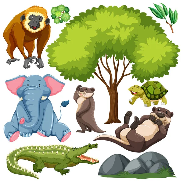 Set Cute Wild Animal Nature Illustration — Stock Vector