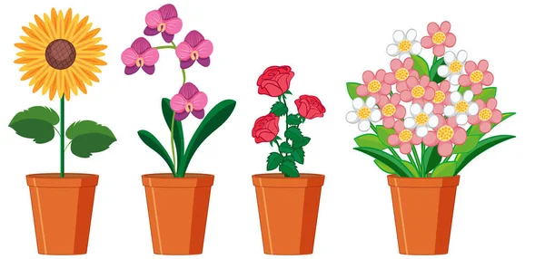 Mooie Bloemen Potten Witte Achtergrond Illustratie — Stockvector