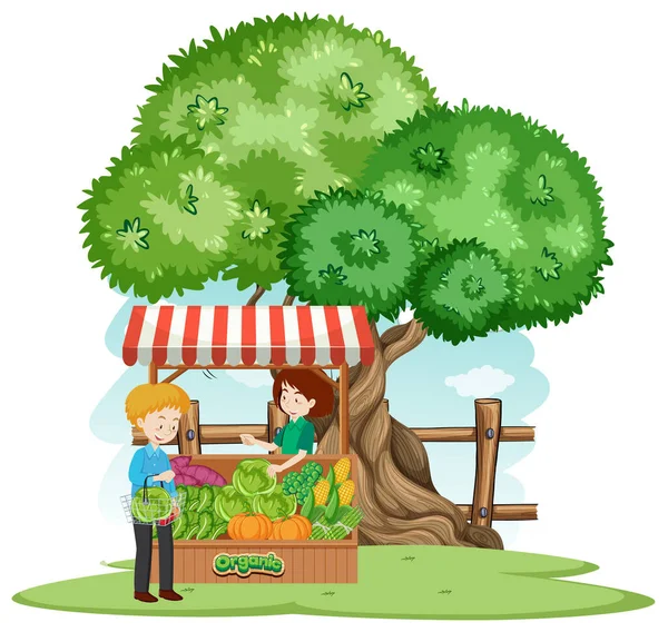 Scene Customer Buying Vegetables Farm Illustration — Stock Vector