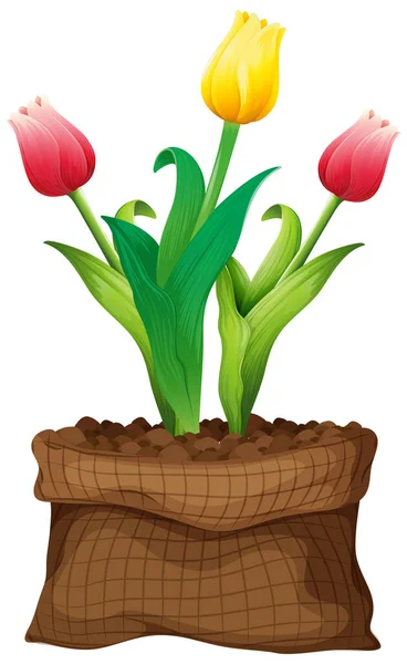 Beautiful Flower Brown Bag White Background Illustration — Stock Vector