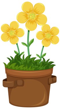 Bahçedeki güzel çiçekler beyaz arkaplan resimlerinde