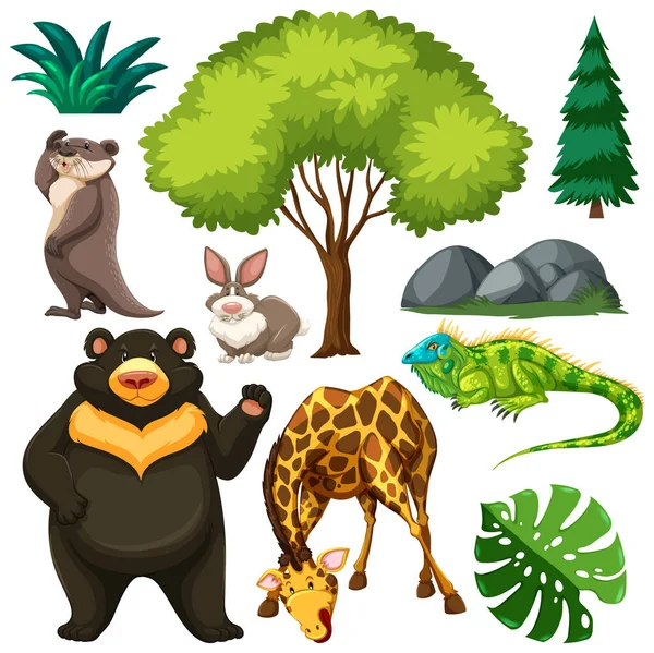 Set Cute Wild Animal Nature Illustration — Stock Vector