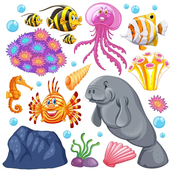 Set Creature Marine Coralli Sfondo Bianco Illustrazione — Vettoriale Stock