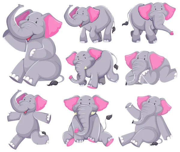 Set Van Olifant Cartoon Karakter Illustratie — Stockvector