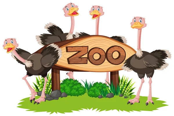 Struś Chorągwią Zoo Ilustracja — Wektor stockowy