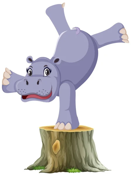 Hippopotamus Álló Egyik Oldalon Illusztráció — Stock Vector