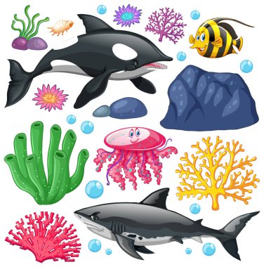 Beyaz arkaplandaki deniz canlıları kümesi