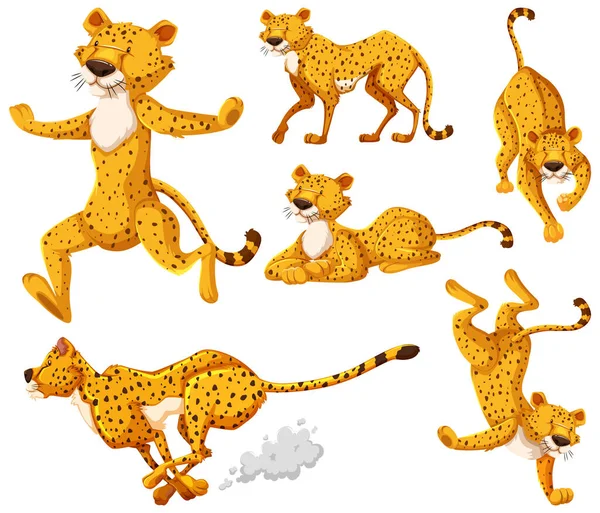 Set Van Cheetah Cartoon Karakter Illustratie — Stockvector