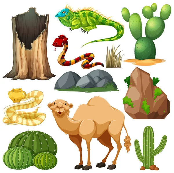 かわいい砂漠の動物や自然イラストのセット — ストックベクタ