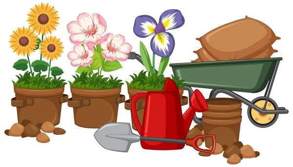 Schöne Blumen Garten Auf Weißem Hintergrund Illustration — Stockvektor