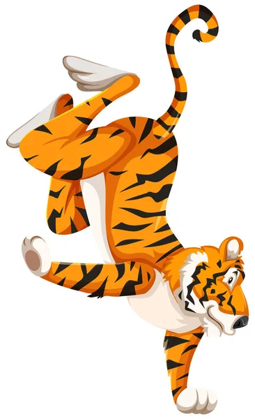 Тигр Стоящий Одной Руке — стоковый вектор