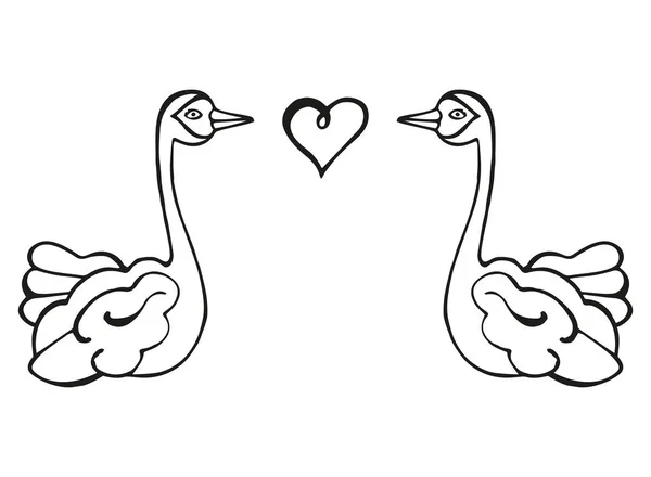 Ilustración aislada en blanco y negro de dos cisnes dibujados a mano y corazón. Página aislada para colorear. Vector . — Archivo Imágenes Vectoriales