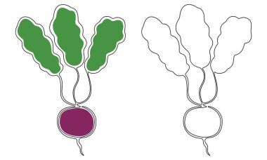 Renkli lekeler olsun ya da olmasın, katı bir çizgide izole edilmiş turp düeti. Vektör.