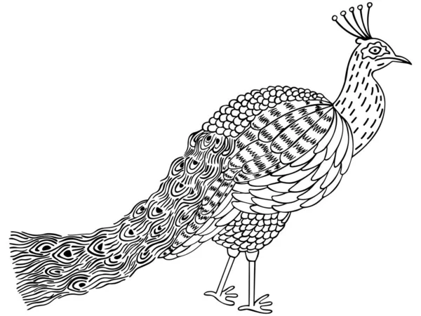 Pavo Real Blanco Negro Dibujado Mano Arte Zen Meditativo Estilo — Archivo Imágenes Vectoriales