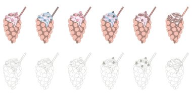 Şampanyalı Hong Kong gofretleri. Çilekli yumurta waffle, yabanmersini, kiraz, yabanmersini, ahududu ve çikolata dolgulu. Çin tatlılarının ince renkleri ve siyah-beyaz klip sanatı. Vektör