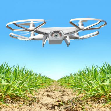 Sebze bahçesinde üzerinde uçan uçak