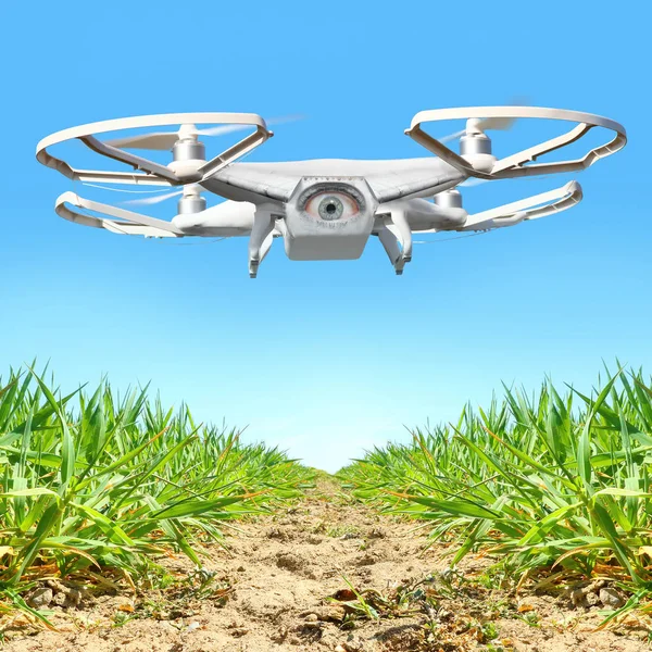 Drone flying over vegetable garden
