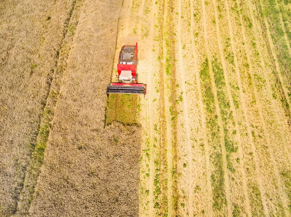 Birleştirme hasat havadan görünümü 