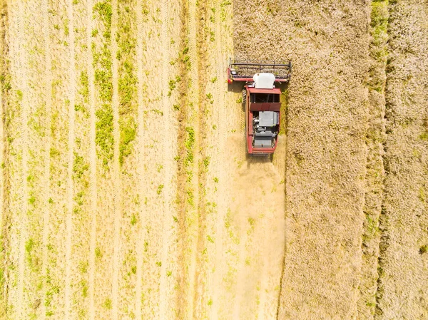 Birleştirme hasat havadan görünümü 