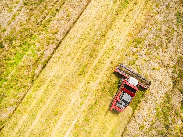 Aerial view of combine harvester — Stock Photo, Image