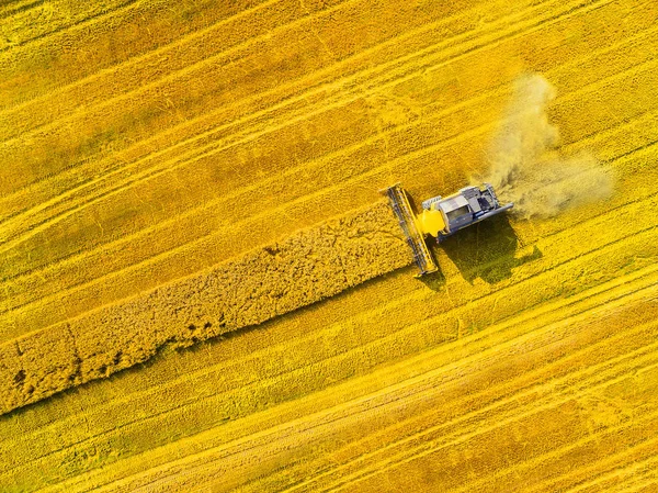 Birleştirme hasat havadan görünümü — Stok fotoğraf