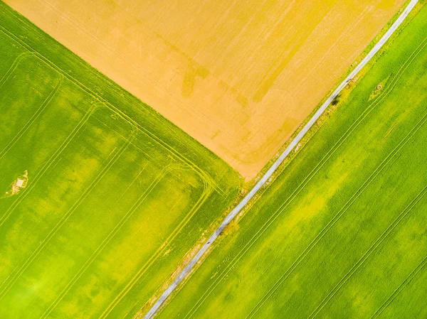 Genetik modifikasyon bitkiler ile deneysel alanlara havadan görünümü.