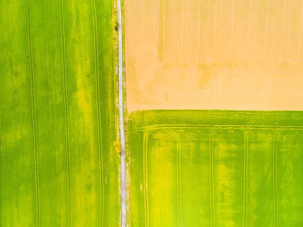 Вид с воздуха на зеленое поле с саженцами пшеницы — стоковое фото