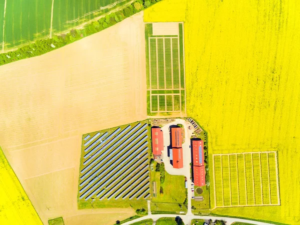 Vista aerea sui campi di grano verde e colza — Foto Stock