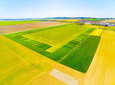 Bahar yeşil alanların havadan görünümü. 