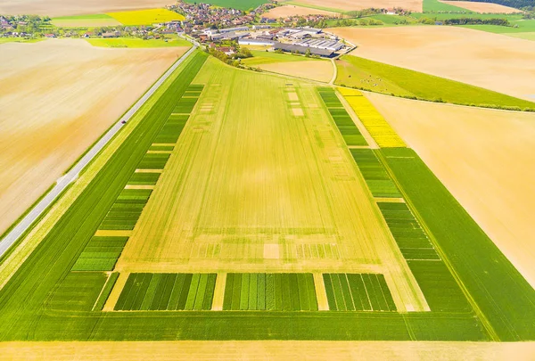 Bahar yeşil alanların havadan görünümü. 