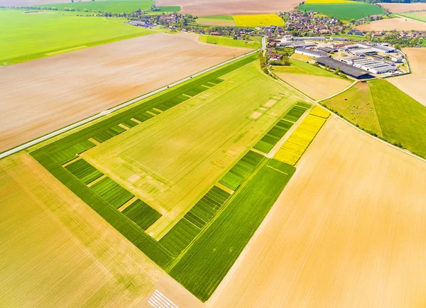 Vista aérea de campos verdes na primavera . — Fotografia de Stock