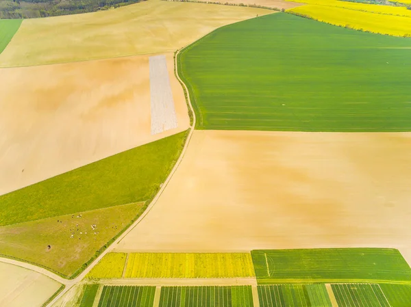 Aerial view of green fields on spring. — Stock Photo, Image