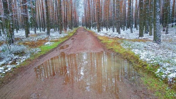 Muddy path with puddle of water in snowy forest — Stock Photo, Image